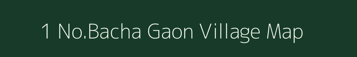 1 No.Bacha Gaon village map in Assam
