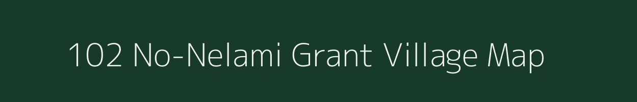 102 No-Nelami Grant village map in Assam