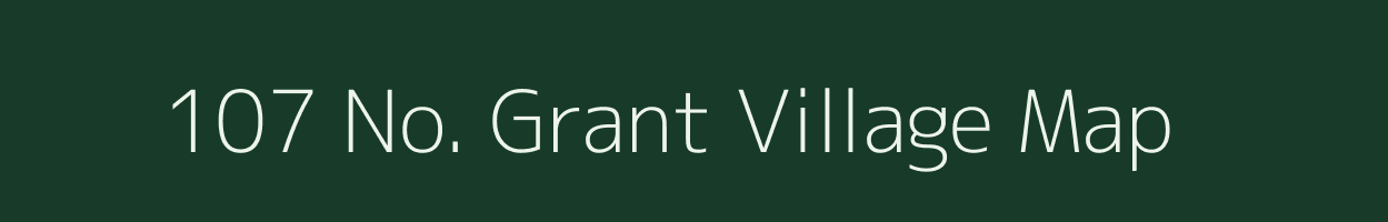 107 No. Grant village map in Assam