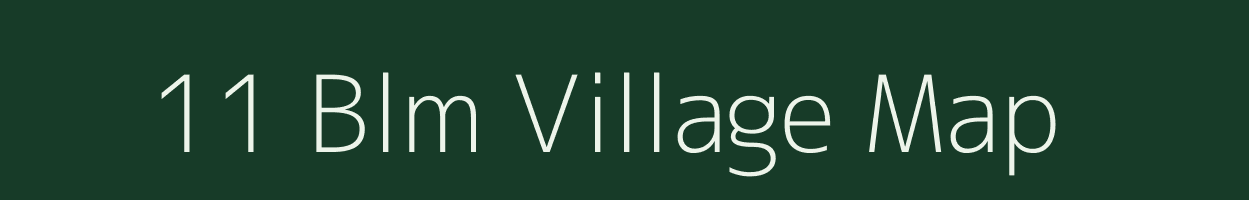 11 Blm village map in Rajasthan