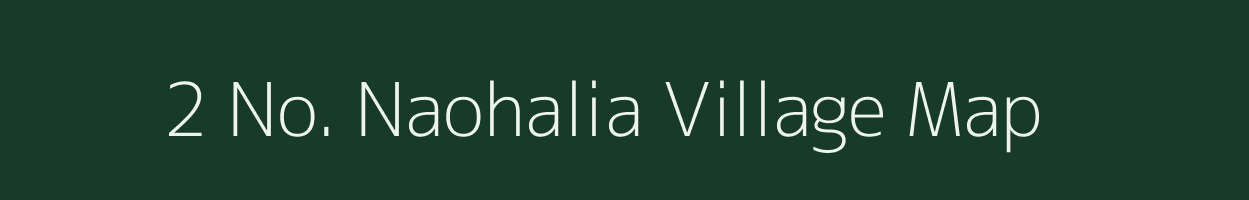 2 No. Naohalia village map in Assam