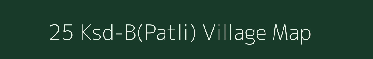 25 Ksd-B(Patli) village map in Rajasthan