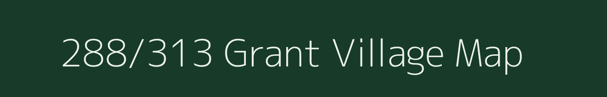 288/313 Grant village map in Assam