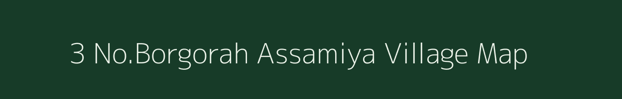3 No.Borgorah Assamiya village map in Assam
