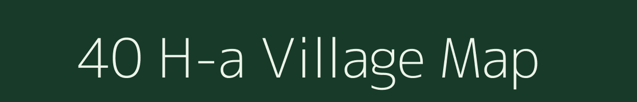 40 H-a village map in Rajasthan