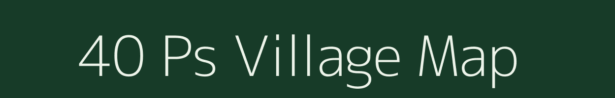 40 Ps village map in Rajasthan