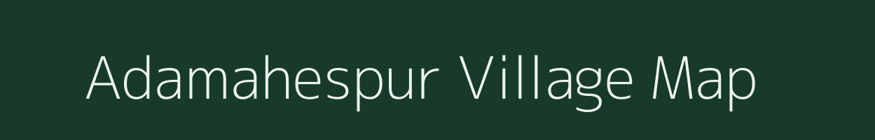 Adamahespur village map in Odisha