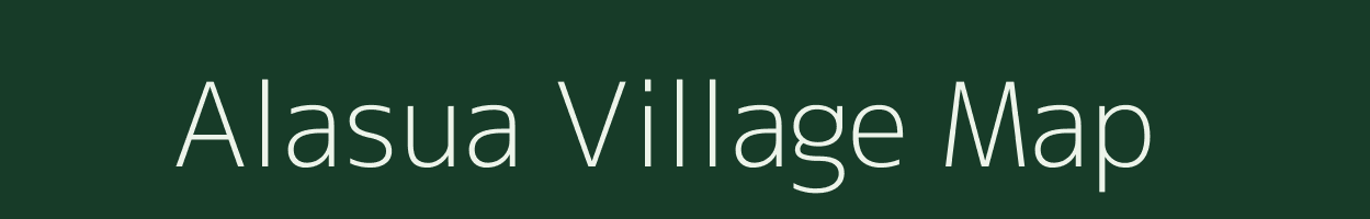Alasua village map in Odisha
