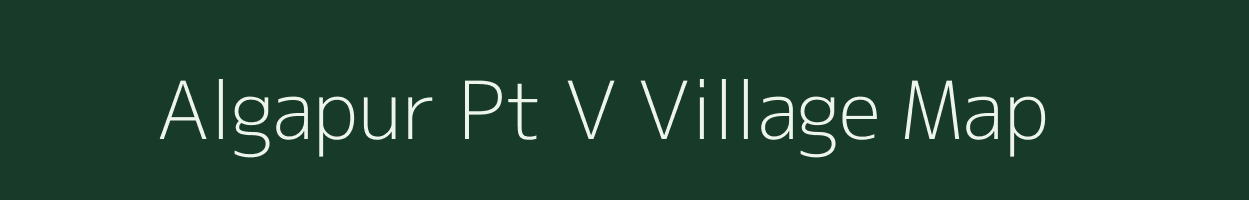 Algapur Pt V village map in Assam