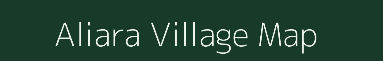 Aliara village map in Odisha