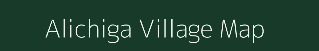 Alichiga village map in Assam