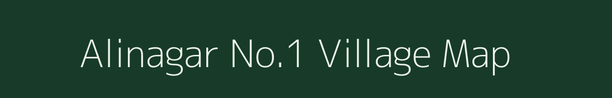 Alinagar No.1 village map in Assam