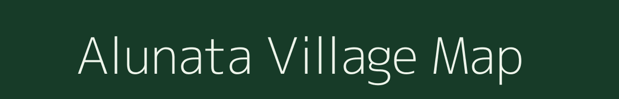 Alunata village map in Odisha