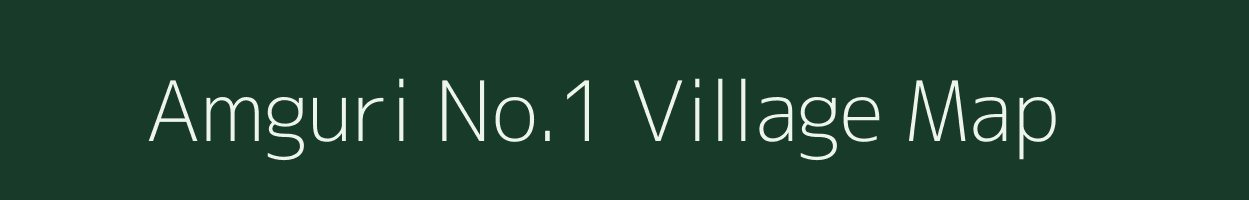 Amguri No.1 village map in Assam