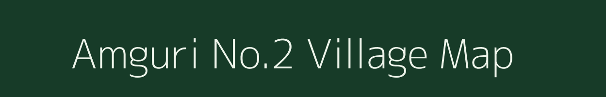 Amguri No.2 village map in Assam