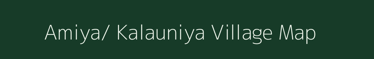 Amiya/ Kalauniya village map in Uttarakhand