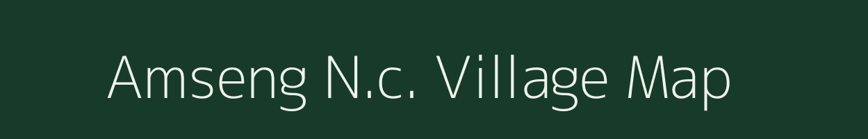 Amseng N.c. village map in Assam