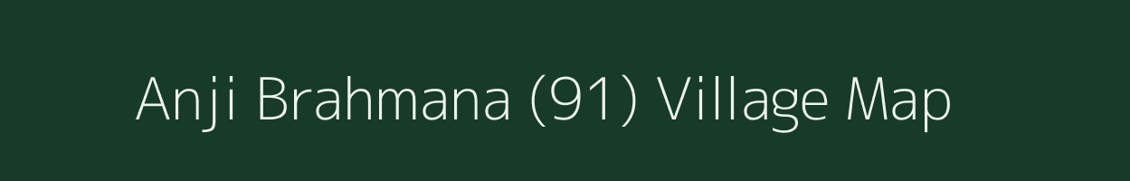 Anji Brahmana (91) village map in Himachal Pradesh