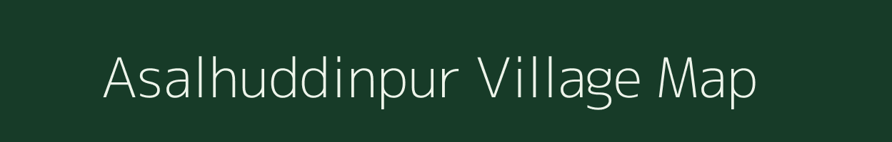 Asalhuddinpur village map in Uttar Pradesh