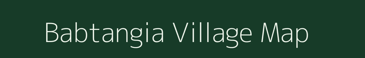 Babtangia village map in Odisha