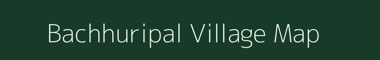 Bachhuripal village map in Odisha