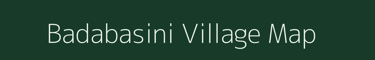 Badabasini village map in Odisha