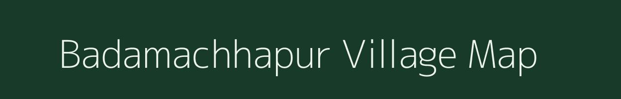 Badamachhapur village map in Odisha