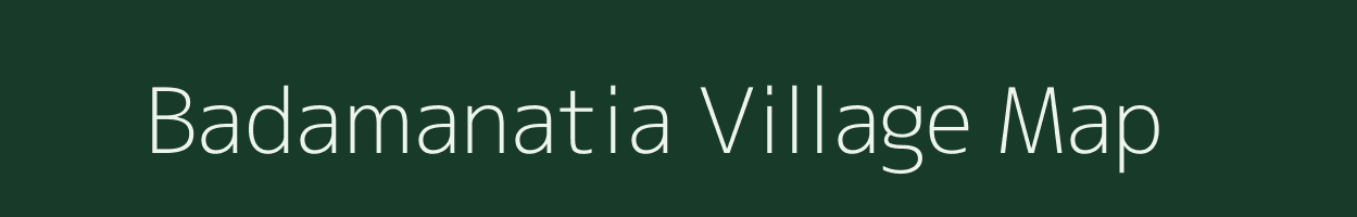 Badamanatia village map in Odisha