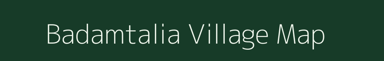 Badamtalia village map in Odisha