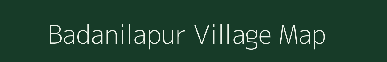 Badanilapur village map in Odisha