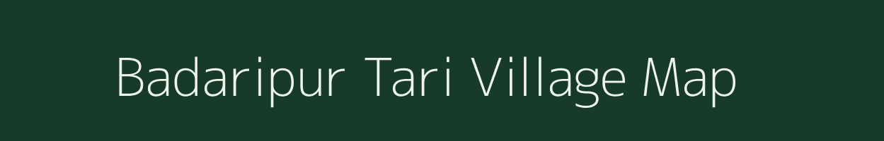 Badaripur Tari village map in Uttar Pradesh