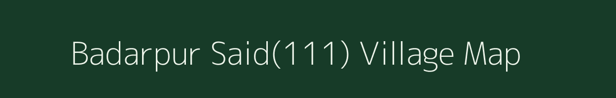 Badarpur Said(111) village map in Haryana