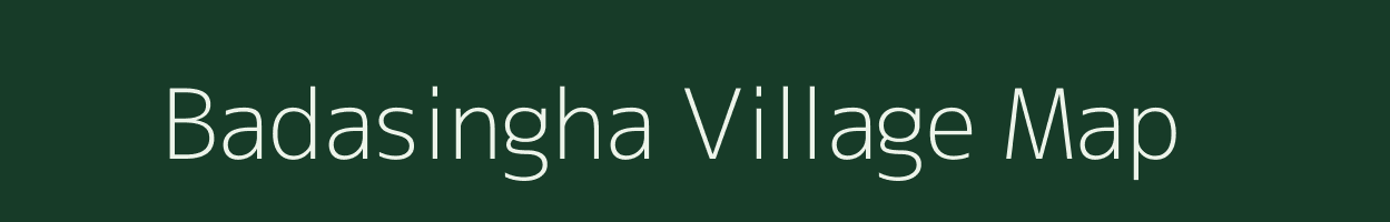 Badasingha village map in Odisha