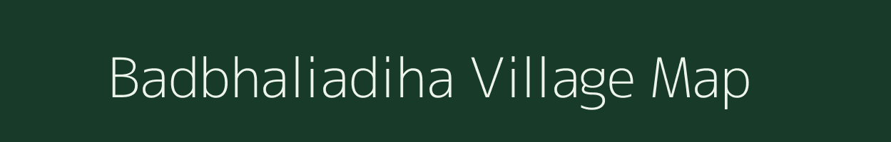Badbhaliadiha village map in Odisha