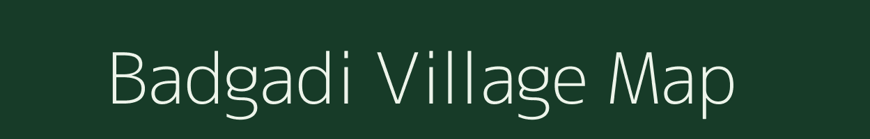 Badgadi village map in Madhya Pradesh