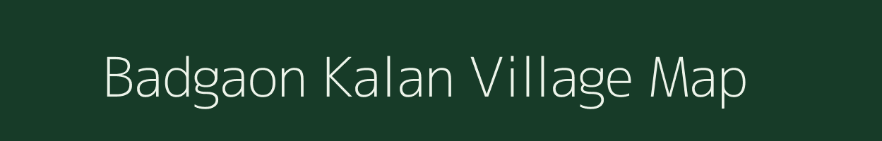 Badgaon Kalan village map in Chhattisgarh