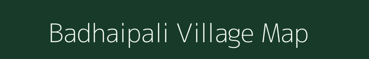 Badhaipali village map in Chhattisgarh