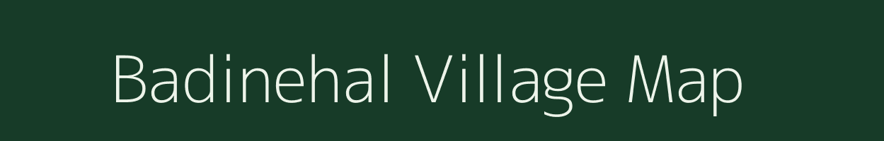 Badinehal village map in Andhra Pradesh