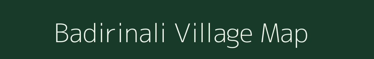 Badirinali village map in Odisha