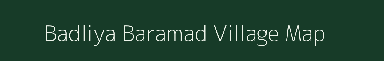 Badliya Baramad village map in Madhya Pradesh