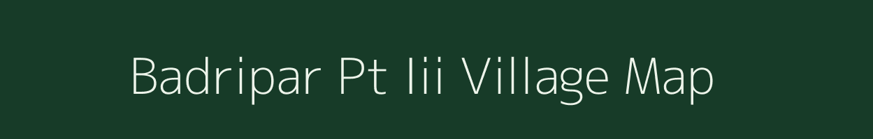 Badripar Pt Iii village map in Assam