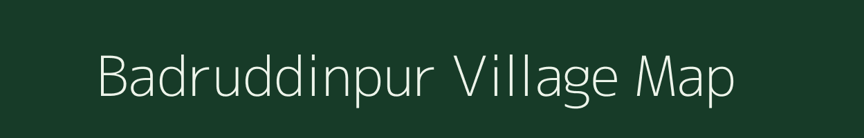 Badruddinpur village map in Uttar Pradesh