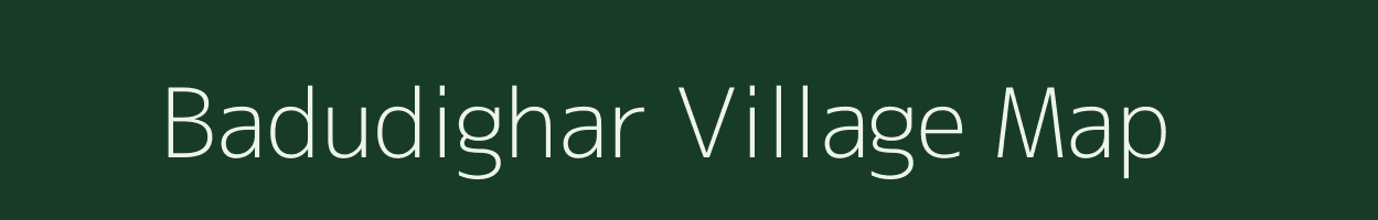 Badudighar village map in Odisha