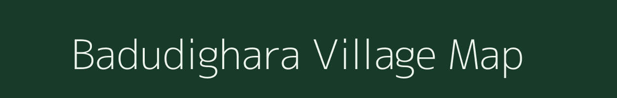 Badudighara village map in Odisha