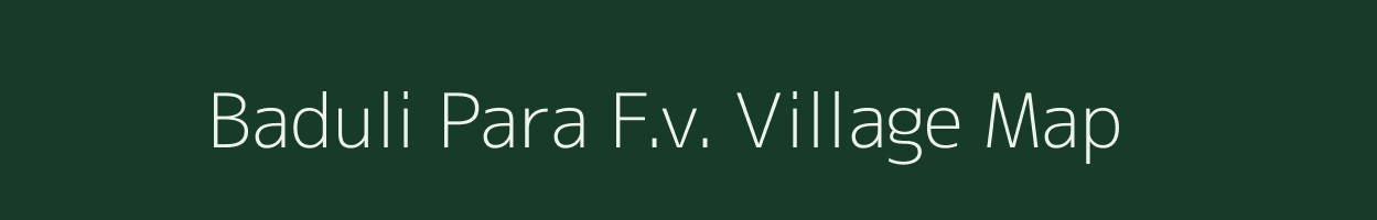 Baduli Para F.v. village map in Assam