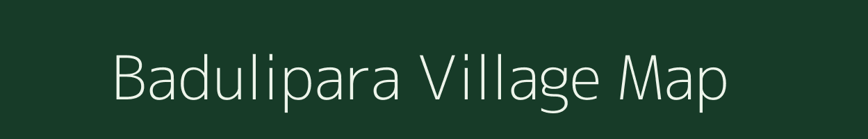 Badulipara village map in Assam