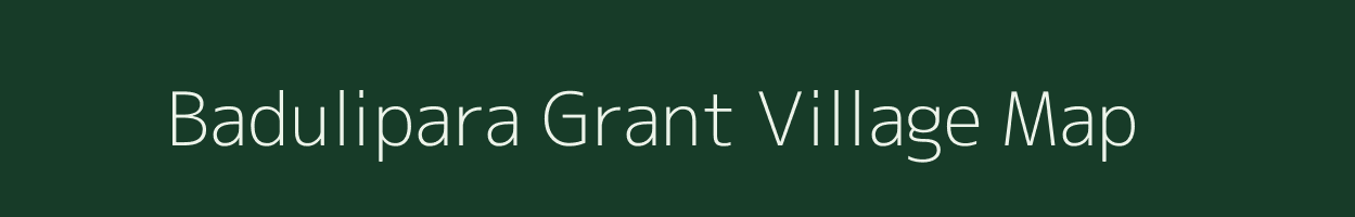 Badulipara Grant village map in Assam