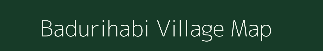 Badurihabi village map in Assam