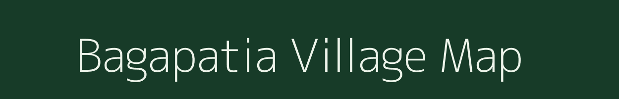 Bagapatia village map in Odisha