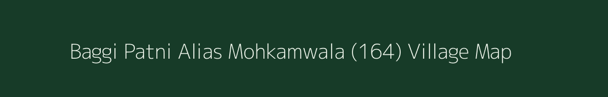 Baggi Patni Alias Mohkamwala (164) village map in Punjab